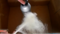 【おもしろ科学実験】手作りわたあめ製造機で綿あめを作った！／How to make cotton candies using aluminum bottle